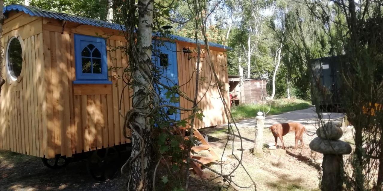 Sapphire Forest Garden Shepherd'S Hut 처치스트레톤 외부 사진