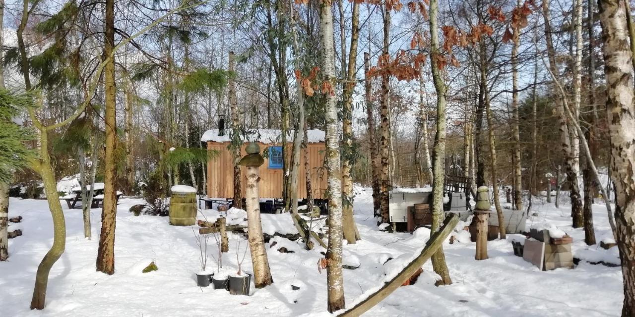 Sapphire Forest Garden Shepherd'S Hut 처치스트레톤 외부 사진
